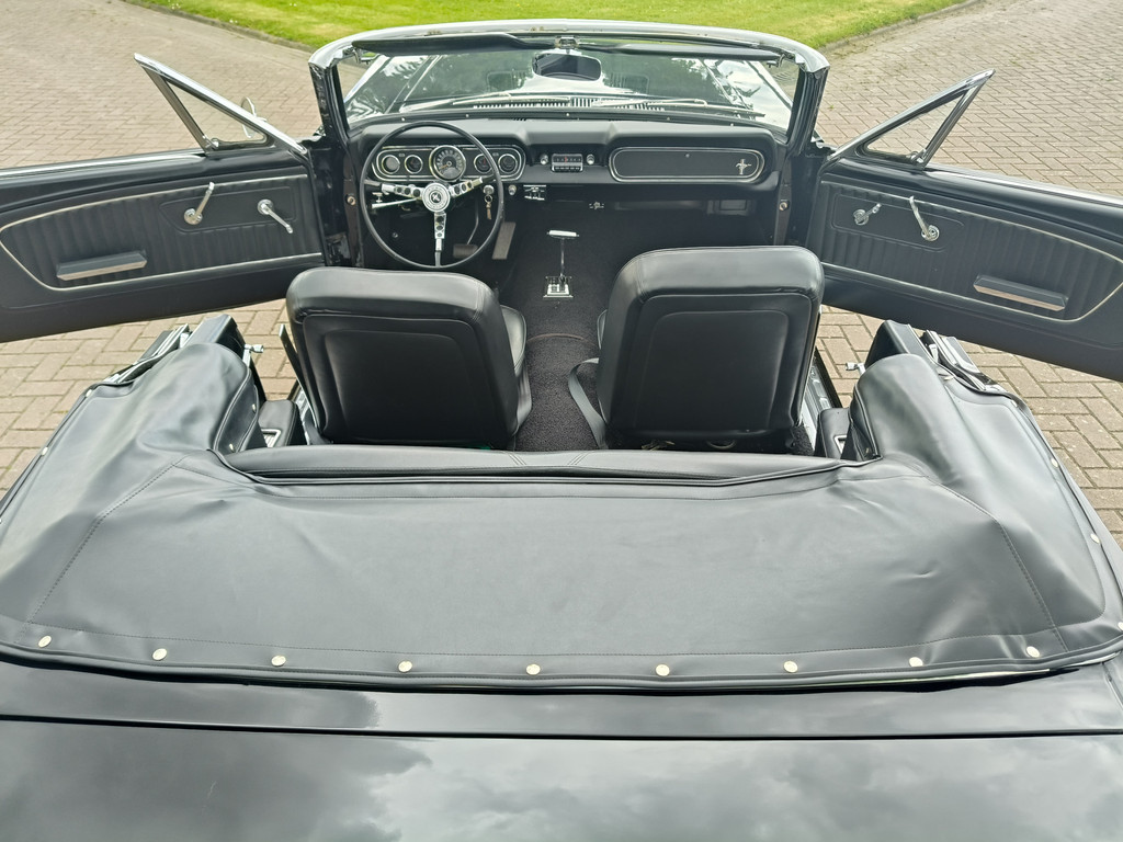 53276679-42.jpg