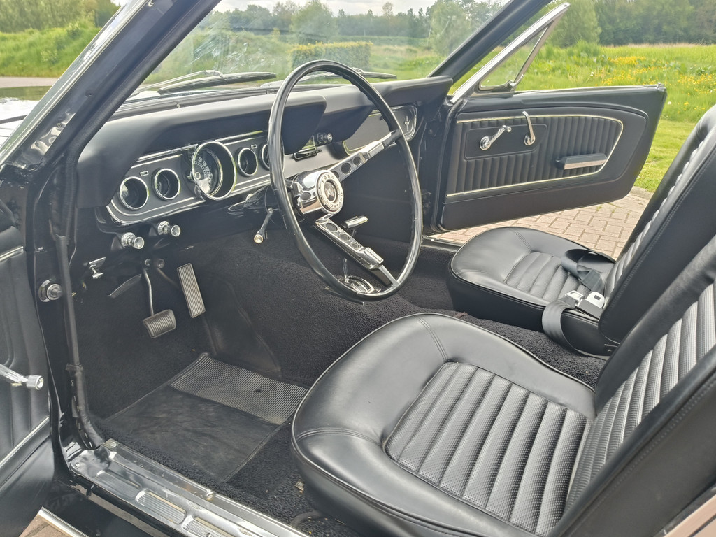 53276679-44.jpg