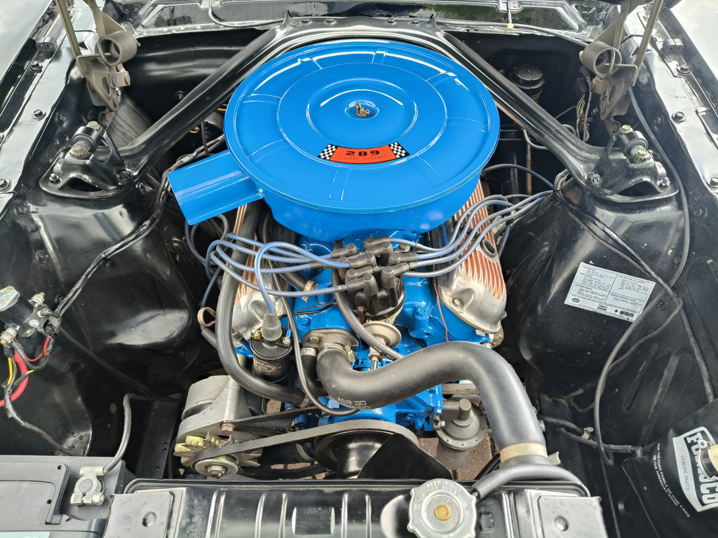 53276679-59.jpg