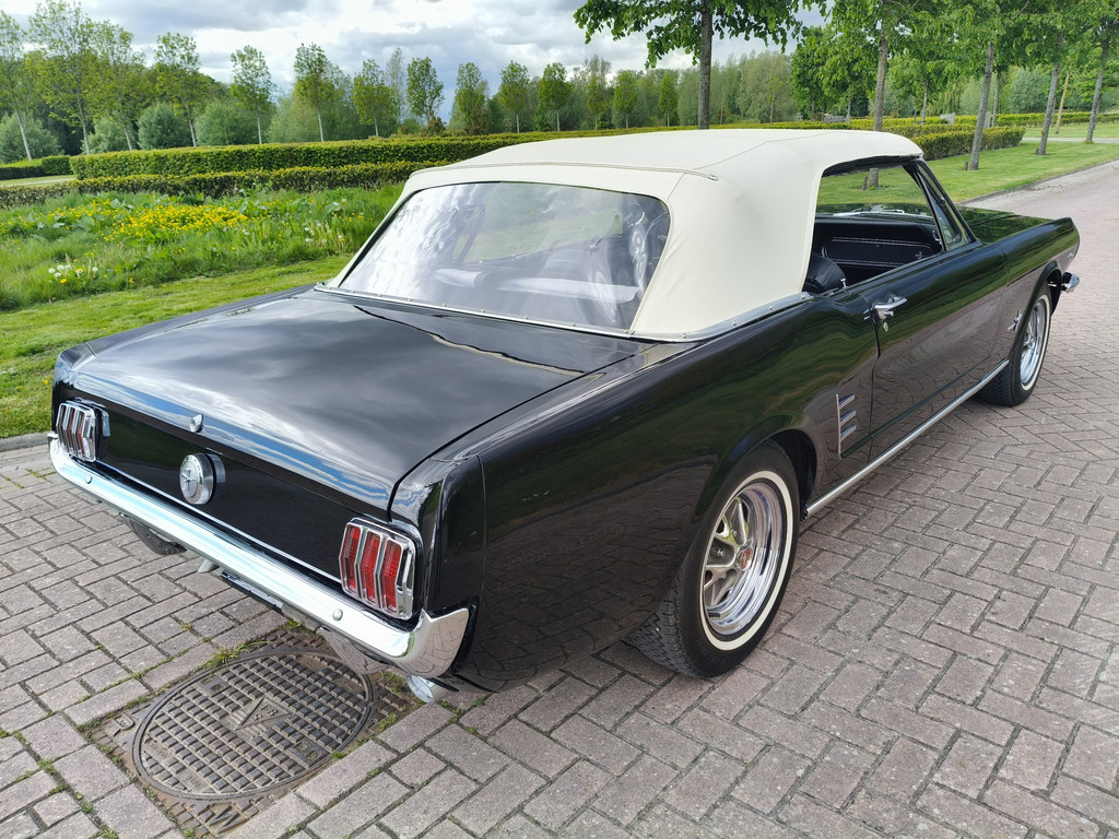 53276679-8.jpg