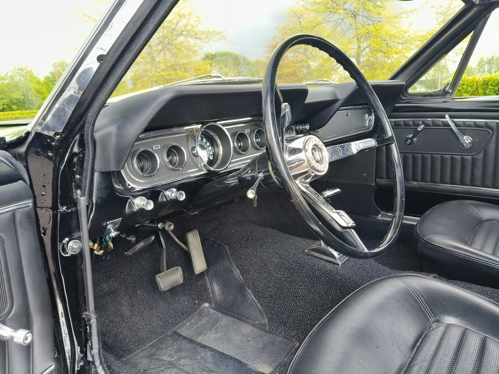 53276679-80.jpg