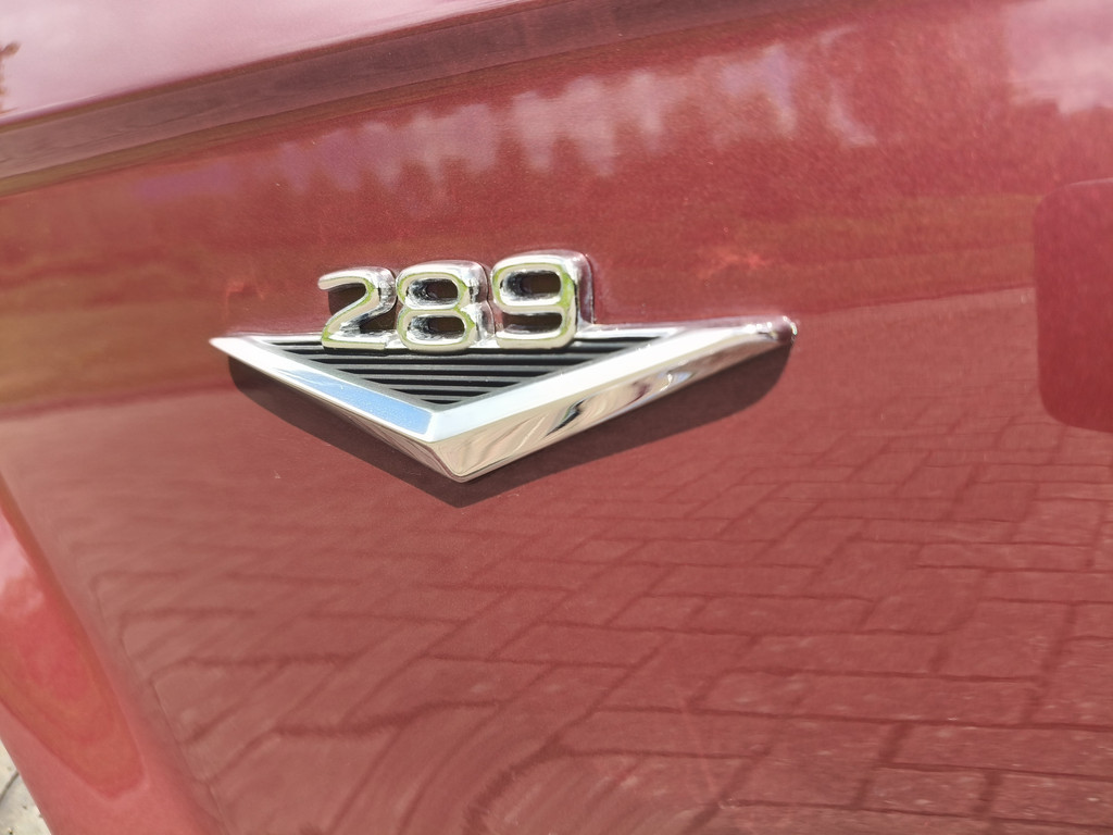 53307564-15.jpg
