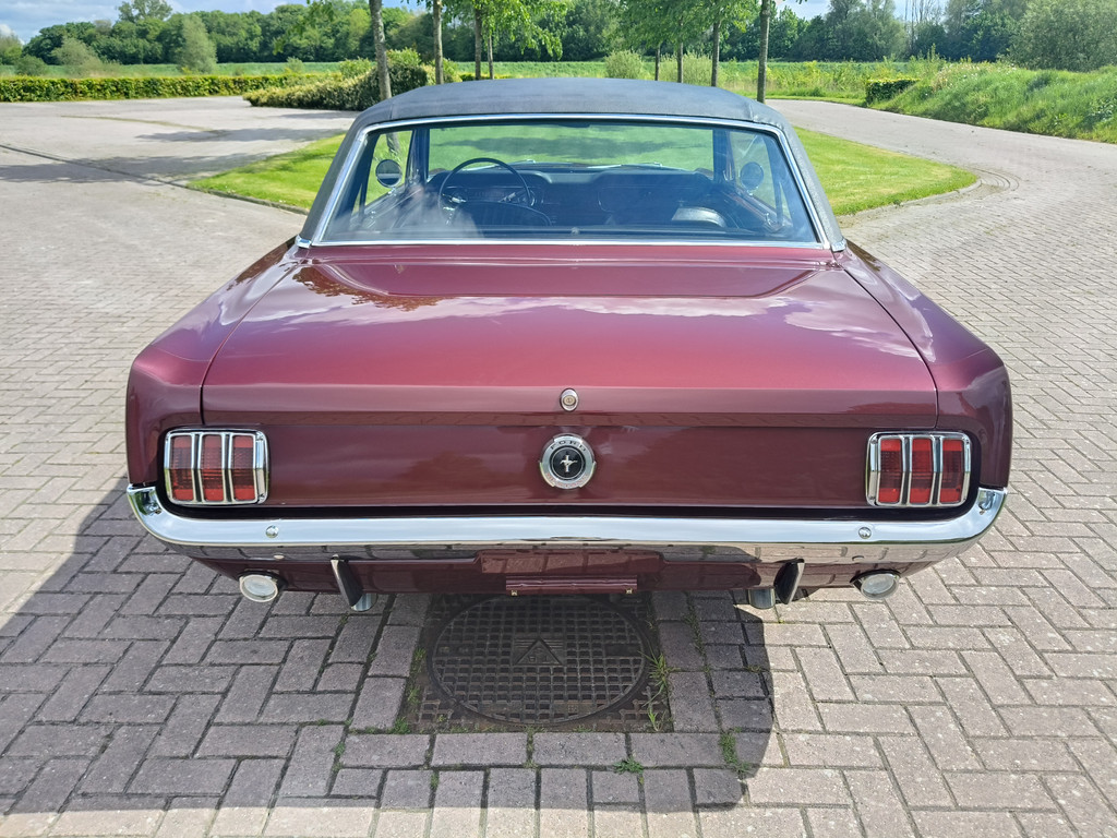 53307564-32.jpg