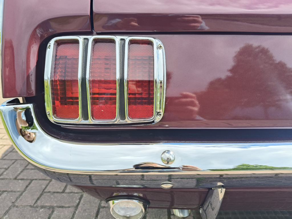 53307564-33.jpg