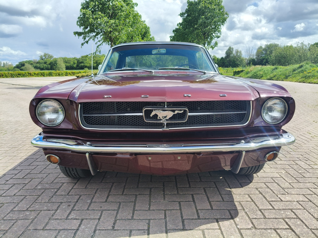 53307564-5.jpg