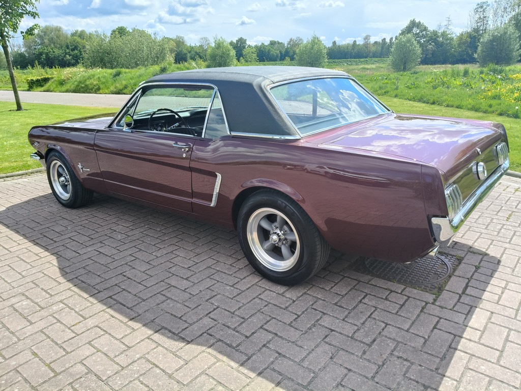 53307564-7.jpg