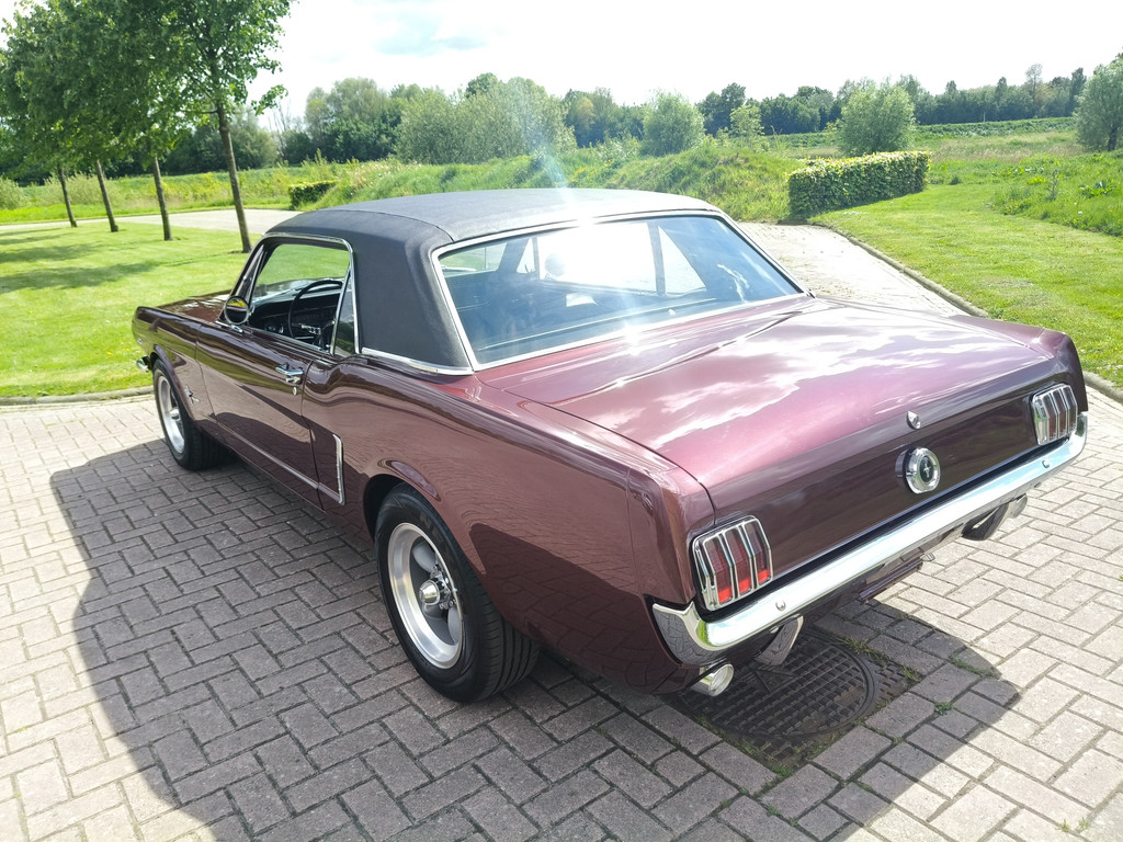 53307564-9.jpg