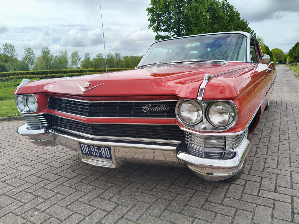 53394679
