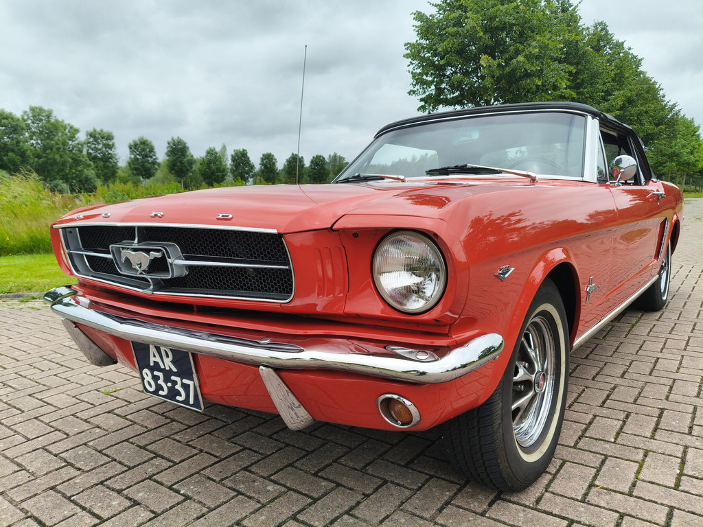 54290559
