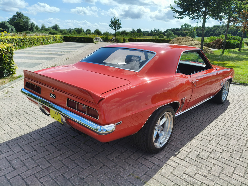 55120628-4.jpg