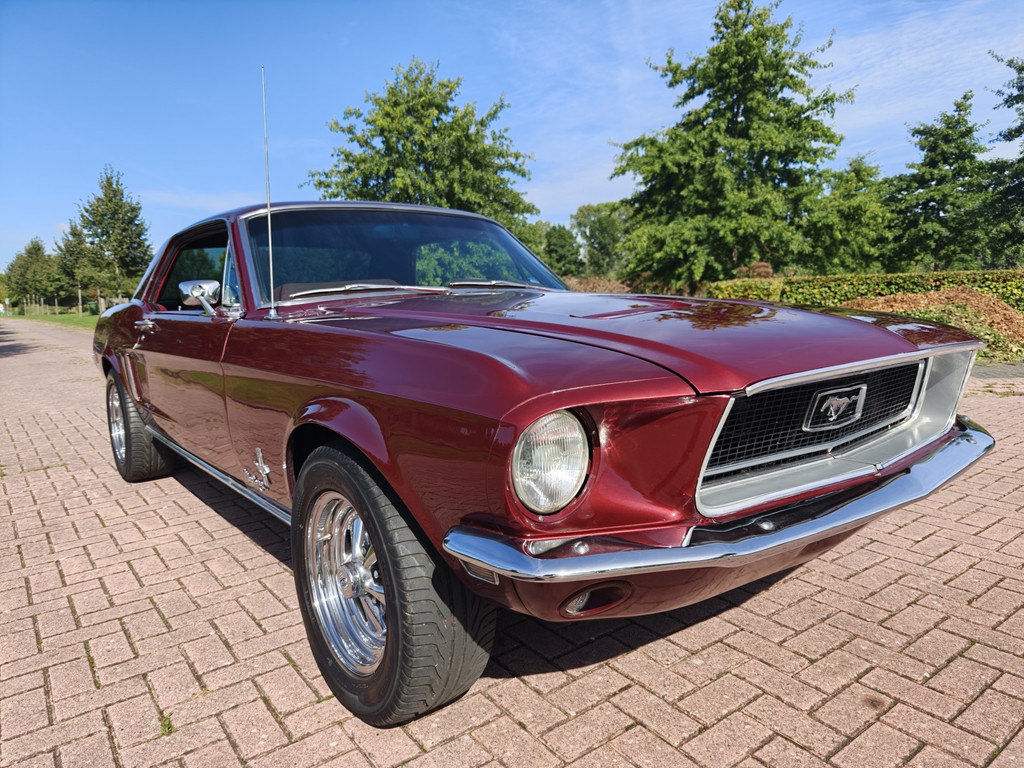 56315862