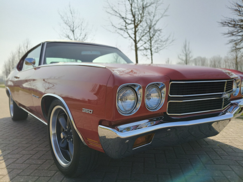 56708455