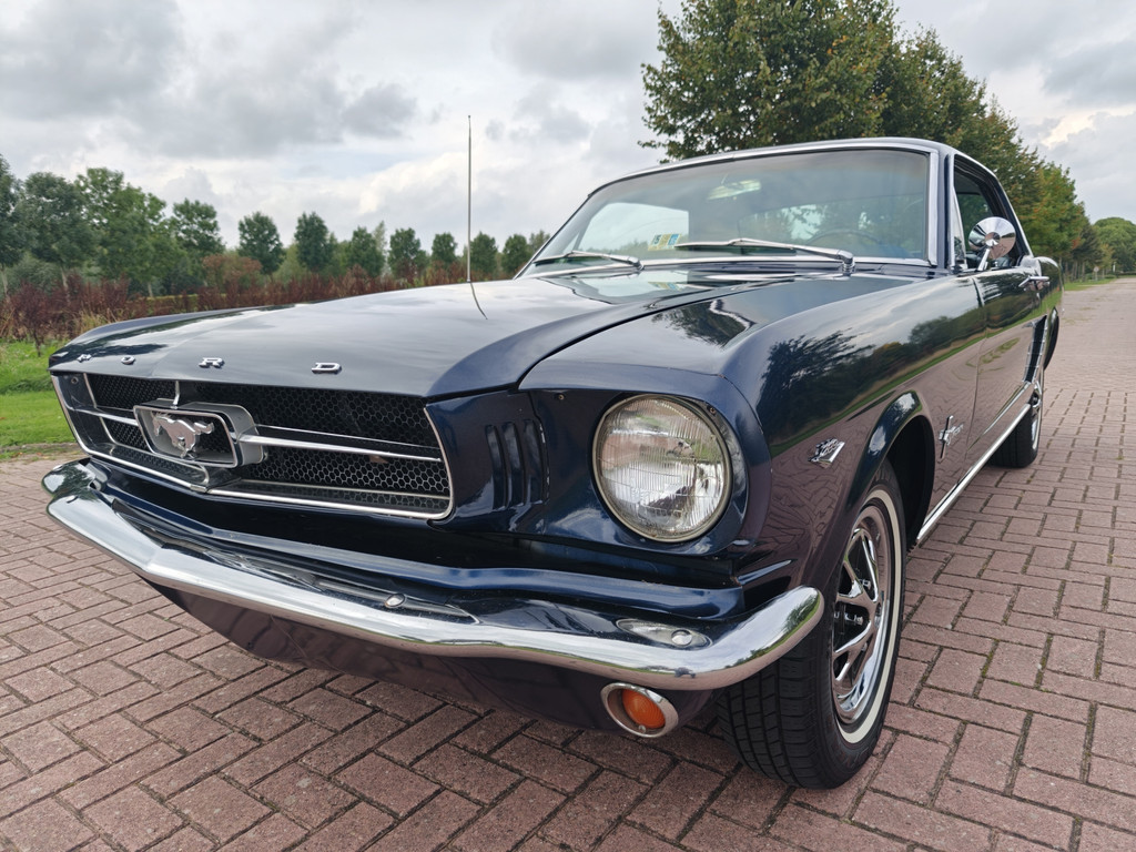 56855300